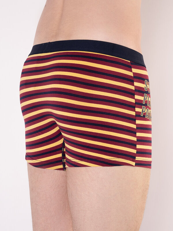 INDEFINI Трусы 572602 1125MUF Мультиколор