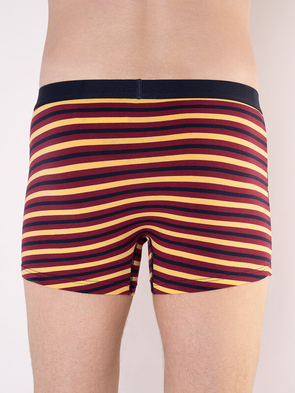 INDEFINI Трусы 572602 1125MUF Мультиколор