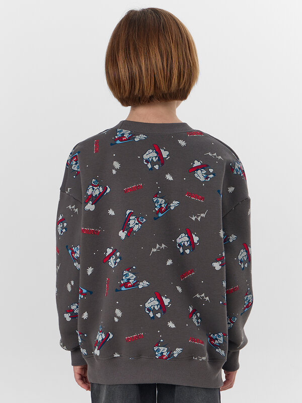 MARK FORMELLE Свитшот 573357 123437/1 йети на гранитном