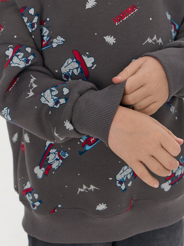 MARK FORMELLE Свитшот 573357 123437/1 йети на гранитном