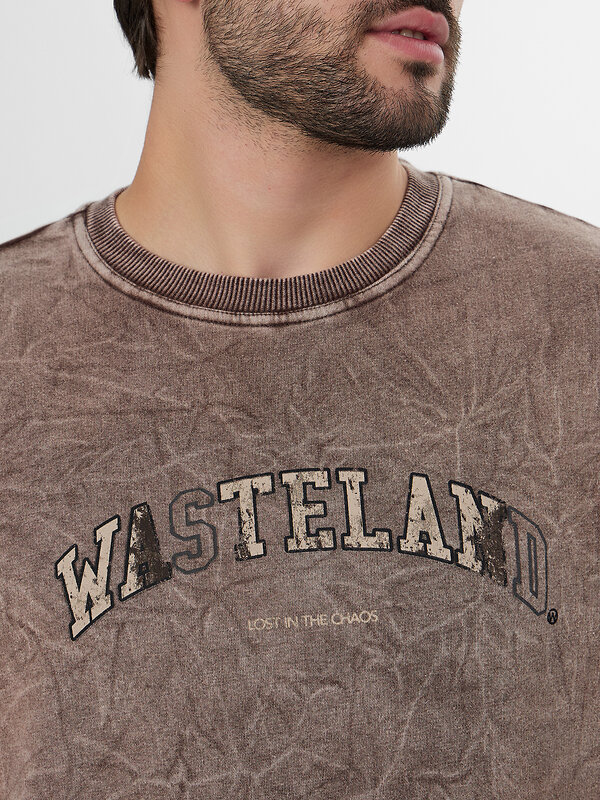 MARK FORMELLE Свитшот 573372 121801/1 ACID WASH шоколадный +печать