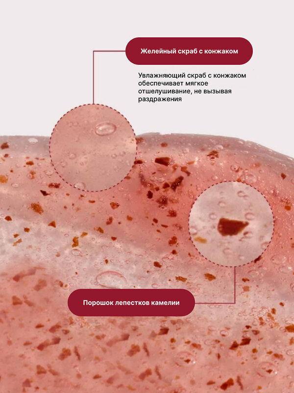 ROUND LAB Гель-пенка для умывания с экстрактом камелии 2 в 1 / Camellia Deep Collagen Jelly Pack Cleanser, 150 мл 573409 28016 