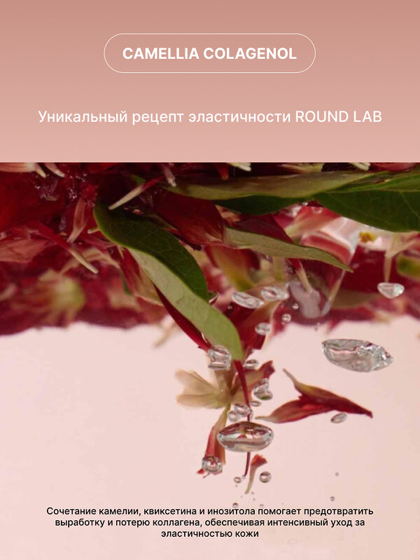 ROUND LAB Гель-пенка для умывания с экстрактом камелии 2 в 1 / Camellia Deep Collagen Jelly Pack Cleanser, 150 мл 573409 28016 