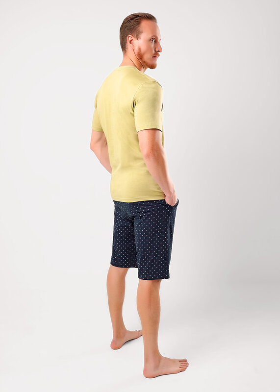 CLEVER Комплект 573846 MHP451533/1 св.оливковый/т.зелёный