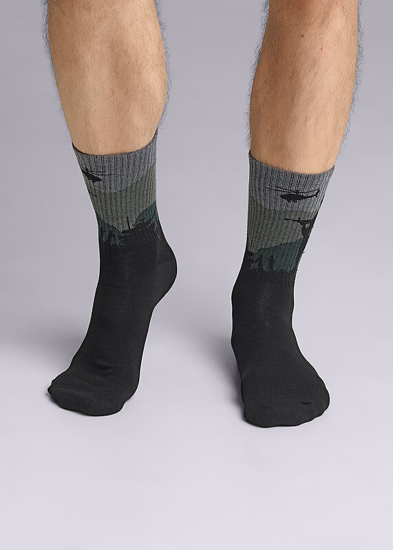 CLEVER Носки 573885 К3384Л чёрный