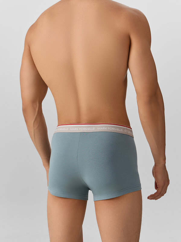 MARK FORMELLE Трусы 574099 411124 бриз
