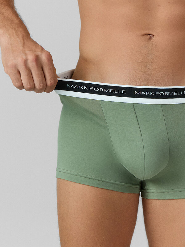 MARK FORMELLE Трусы 574102 411124 холодный хаки