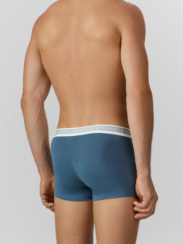 MARK FORMELLE Трусы 574103 411124 шторм