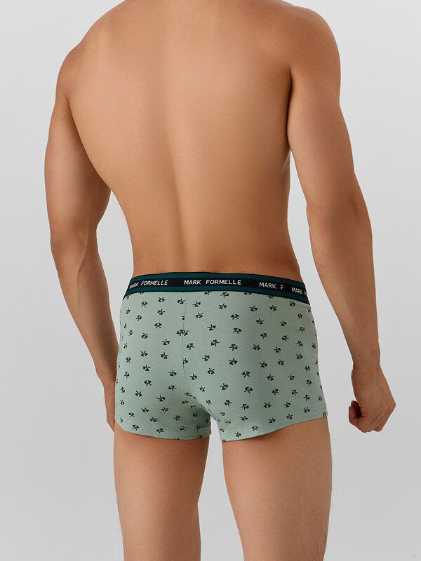 MARK FORMELLE Трусы 574104 411124 топоры на зеленом льду