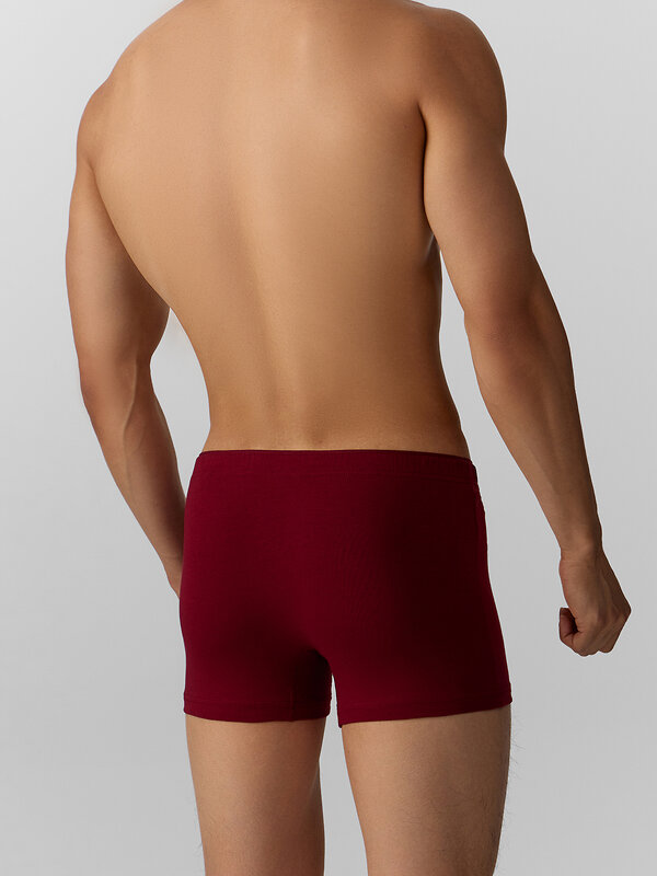 MARK FORMELLE Трусы 574107 411134 т.вишневый +печать