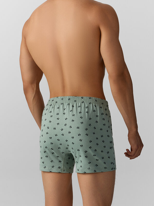 MARK FORMELLE Трусы 574192 411152 топоры на зеленом льду