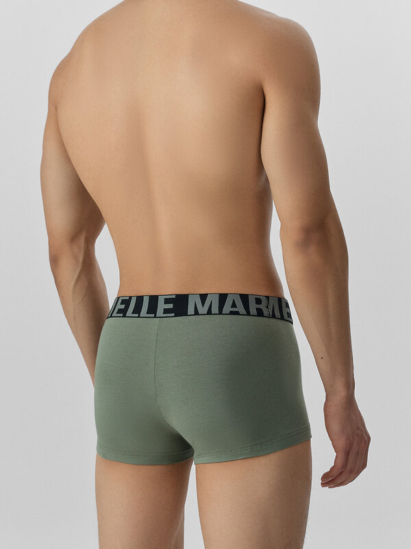MARK FORMELLE Трусы 574204 411124-2 агава + базальт