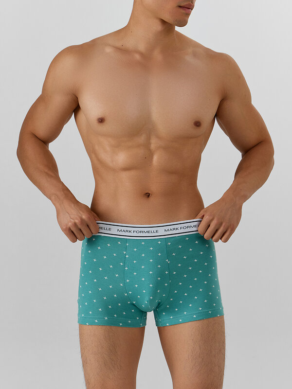 MARK FORMELLE Трусы 574208 411228-2 узор на персидском зеленом +черный