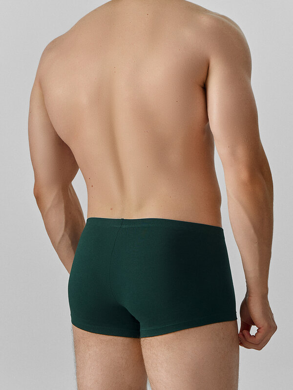 MARK FORMELLE Трусы 574217 411122-2 агава + зеленый бархат