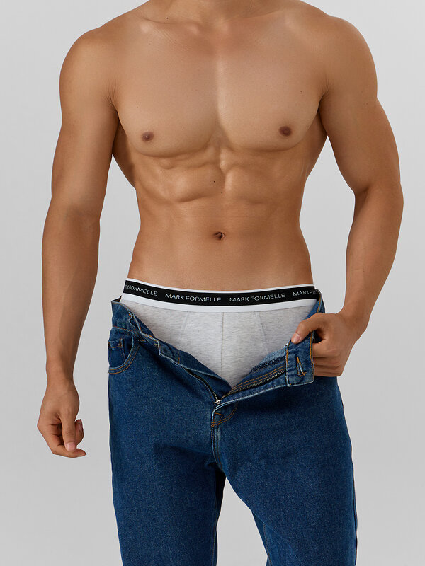 MARK FORMELLE Трусы 574227 411170-3 серый меланж+шторм +черный