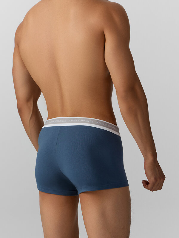 MARK FORMELLE Трусы 574236 411124-3 серый меланж+шторм +море