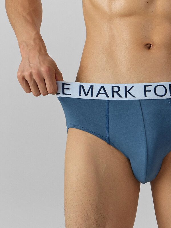 MARK FORMELLE Трусы 574285 411170 шторм