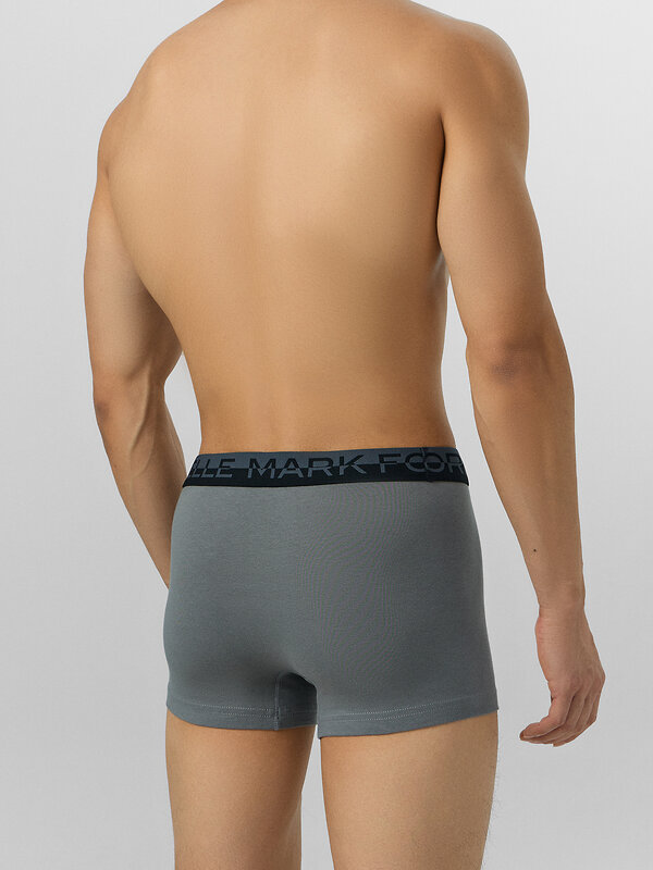 MARK FORMELLE Трусы 574300 411228 базальт