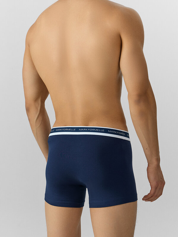 MARK FORMELLE Трусы 574307 411221 море