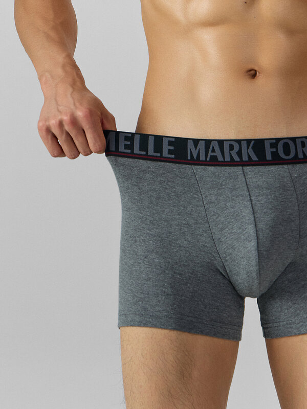 MARK FORMELLE Трусы 574312 411221 меланж темно-серый+печать