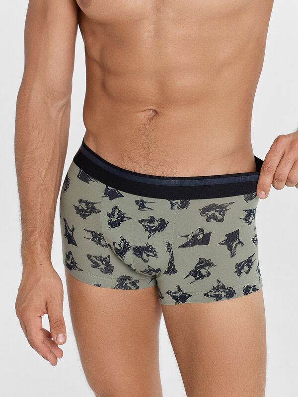 MARK FORMELLE Трусы 574318 411215 доберманы на хаки