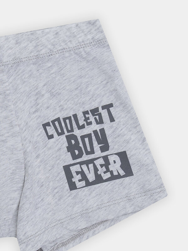 MARK FORMELLE Трусы 574339 413352 серый меланж+печать