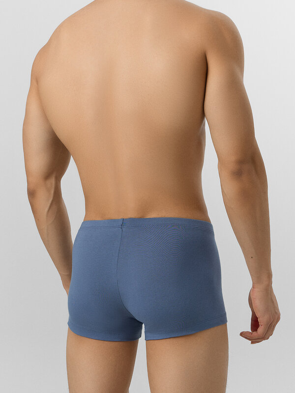 MARK FORMELLE Трусы 575020 411122-2 темное небо + бриз