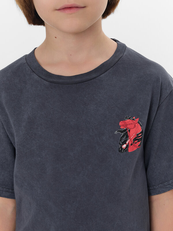 MARK FORMELLE Футболка 575118 113433 ACID WASH графит +печать