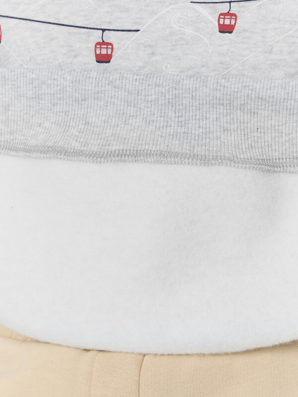 MARK FORMELLE Свитшот 575353 122887/1 серый меланж+печать