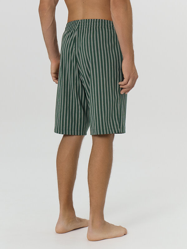 MARK FORMELLE Шорты 575355 531027 полоска на хвойный лес