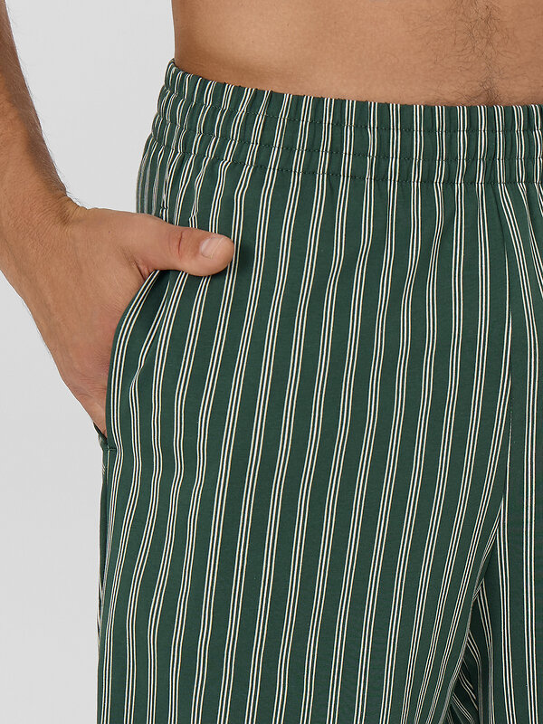 MARK FORMELLE Шорты 575355 531027 полоска на хвойный лес