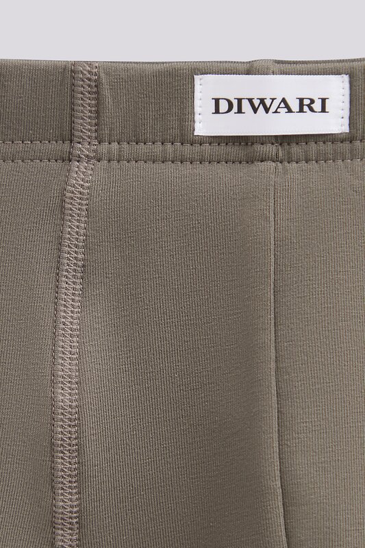 DiWaRi Трусы 576367 BASIC MEN MSH 2127 (вешалка) khaki