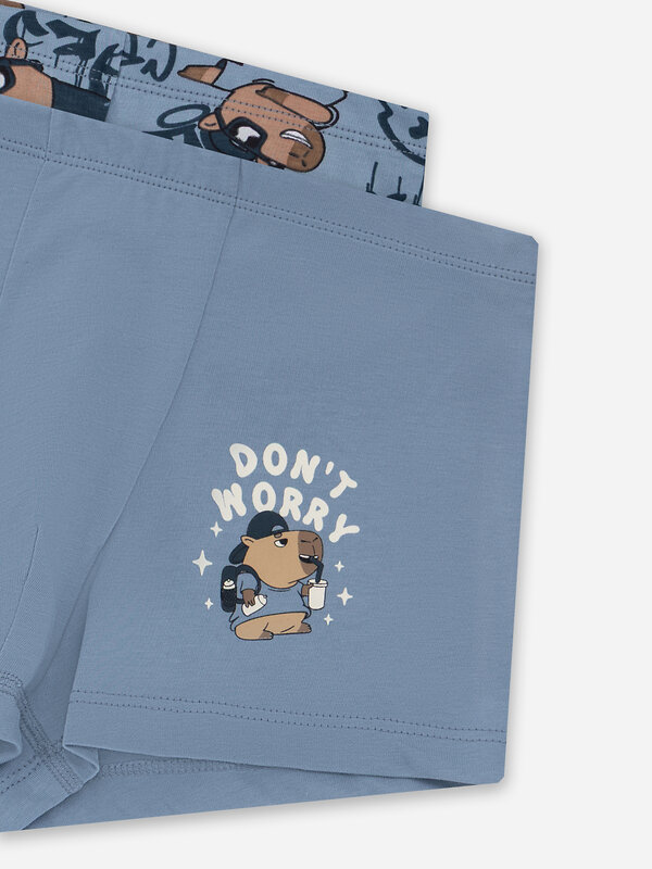 MARK FORMELLE Трусы 578467 413344-2 голубой +крутые капибары на голубом