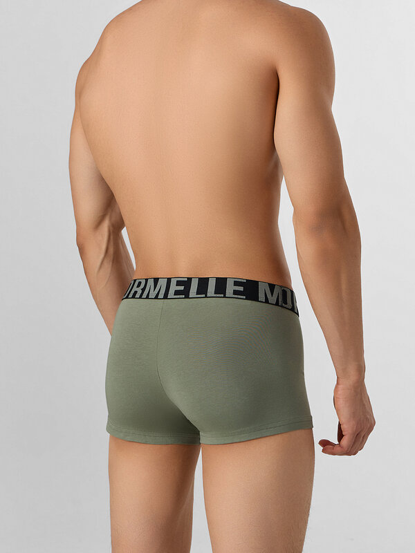 MARK FORMELLE Трусы 578483 411124 агава