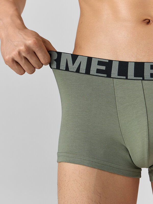 MARK FORMELLE Трусы 578483 411124 агава