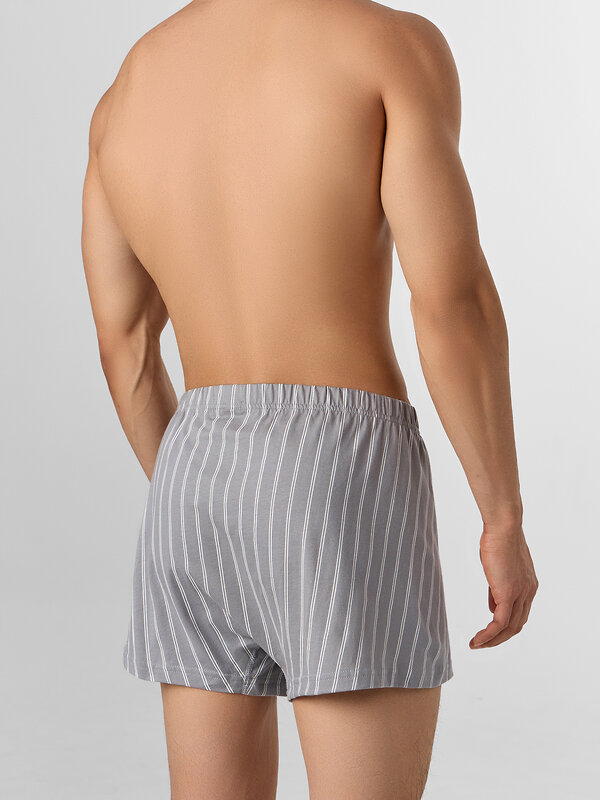 MARK FORMELLE Трусы 578488 411231 полоска на серый опал