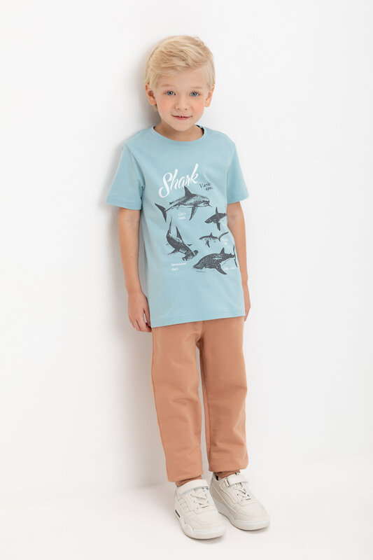 CROCKID Брюки 578712 К 400704 коричневый