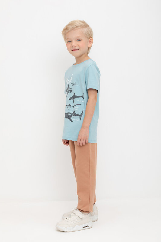 CROCKID Брюки 578712 К 400704 коричневый