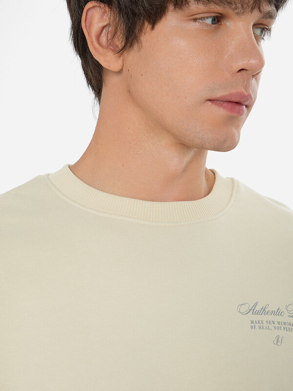 MARK FORMELLE Свитшот 578937 121893 песчаное облако +печать