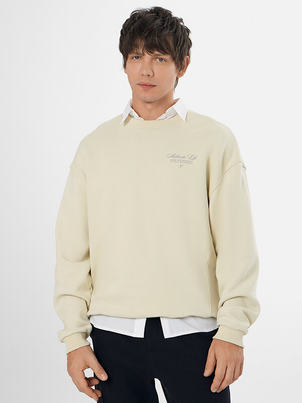 MARK FORMELLE Свитшот 578937 121893 песчаное облако +печать