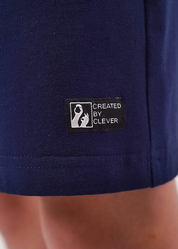 CLEVER Шорты 579066 866866к т.синий