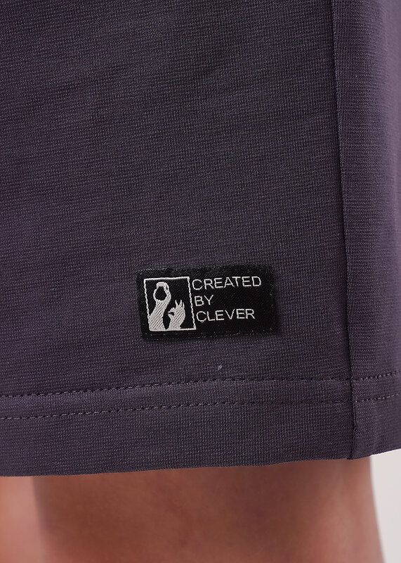 CLEVER Шорты 579067 866866к т.серый