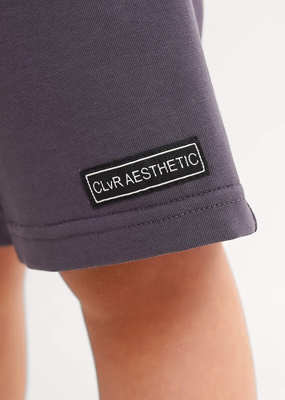 CLEVER Шорты 579096 866172к т.серый