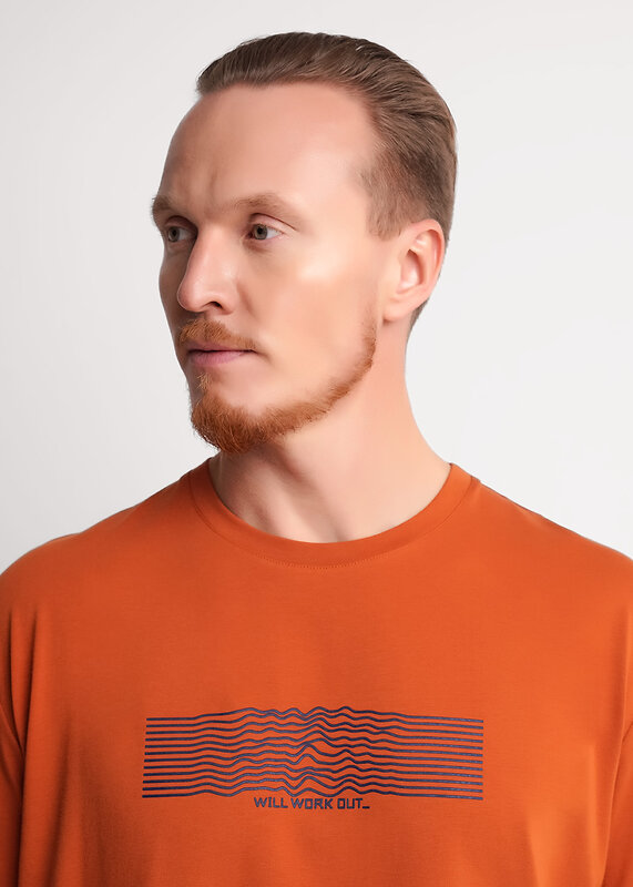 CLEVER Футболка 579099 562509/04гг_п терракотовый