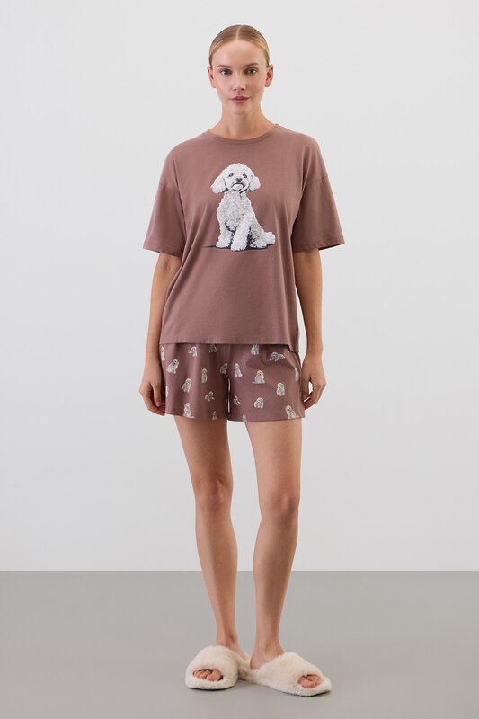 Trikozza Комплект 579501 Е 20195 коричневый