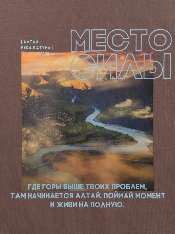 Acoola Футболка 579893 20210510200 коричневый