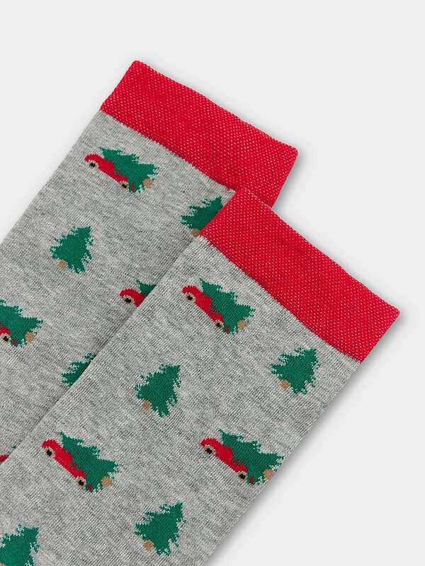 MARK FORMELLE Мужские носки 580465 017K-2977 серый меланж