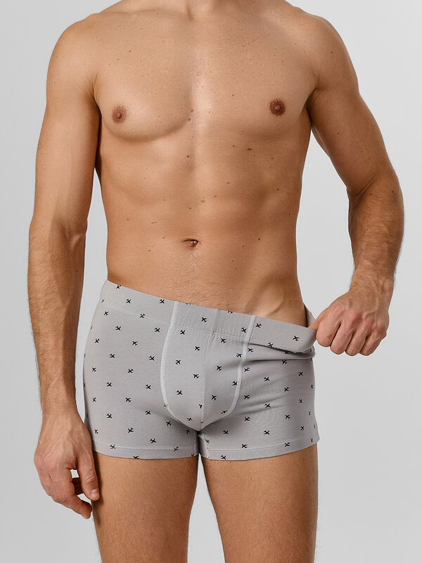 MARK FORMELLE Трусы 580575 411230 самолеты на сером
