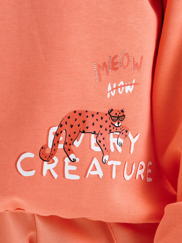 PELICAN Толстовка 581349 GFN3390 Персиковый