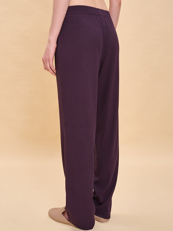 PELICAN Брюки 581404 PFP6918 Сливовый